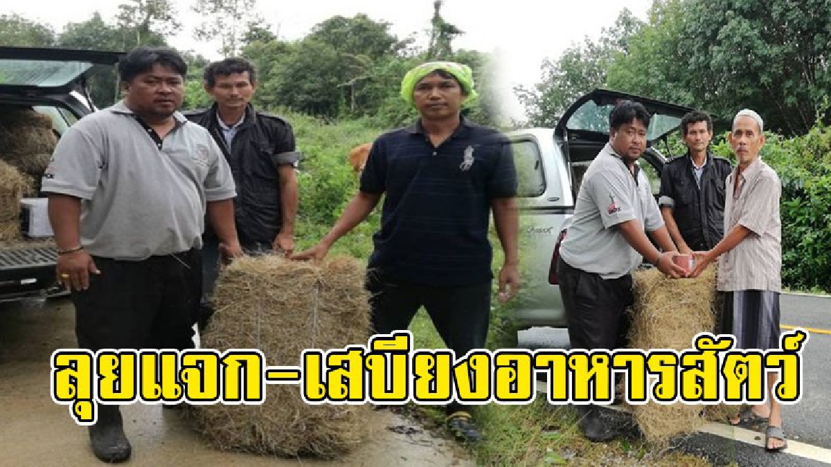 ปศุสัตว์อำเภอสุไหงโก-ลก ลงพื้นที่แจกจ่ายเสบียงอาหารสัตว์ และเวชภัณฑ์ ให้แก่เกษตรกรผู้เลี้ยงสัตว์ในพื้นที่ประสบอุทกภัย