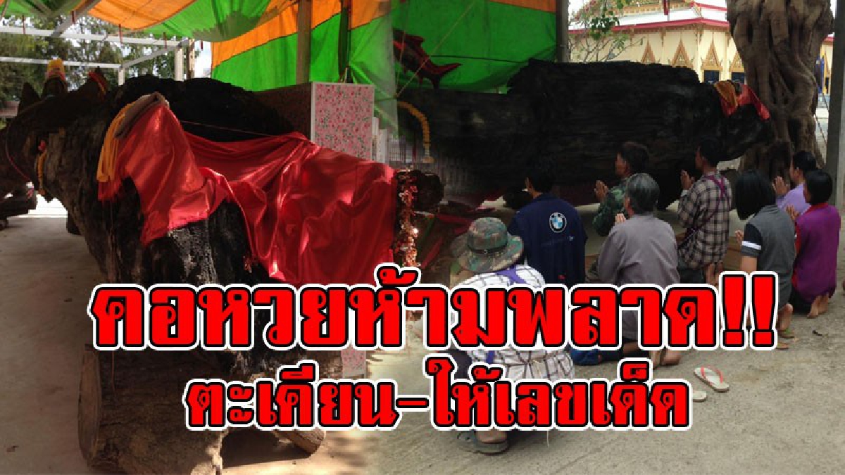 เพ่งกันชัดๆ..!! สุดฮือฮา ต้นตะเคียนกว่า 200 ปี ให้โชคมาหลายคน เซียนหวยไม่พลาด แห่ไปขอเลขเด็ด สุดท้ายเห็นชัดๆ 3 ตัวตรงๆ..!?