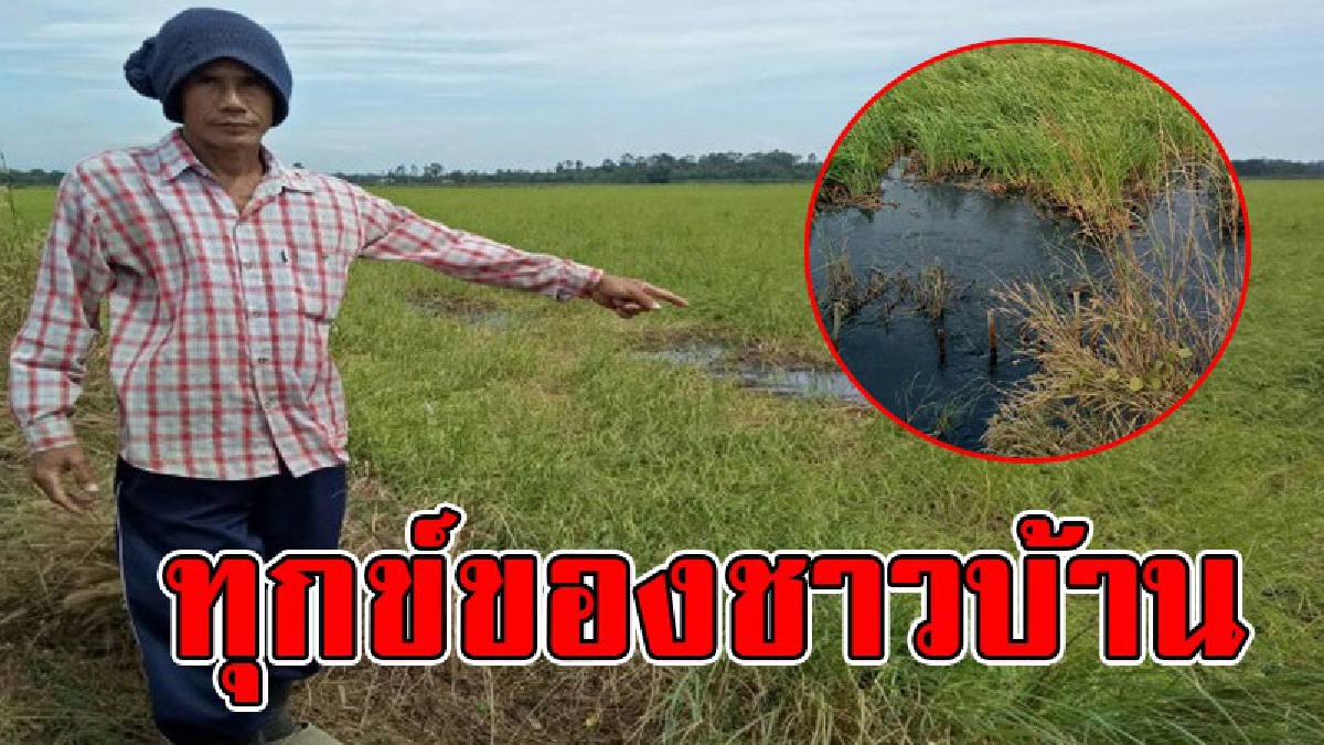 ทุกข์ชาวบ้าน!!! นายกอบต.วังดาลร้องทุกข์ พบน้ำเน่าเสียในนาข้าวกว่า 10,000 ไร่ นำกรมควบคุมมลพิษพร้อมสื่อมวลชนร่วมตรวจสอบ