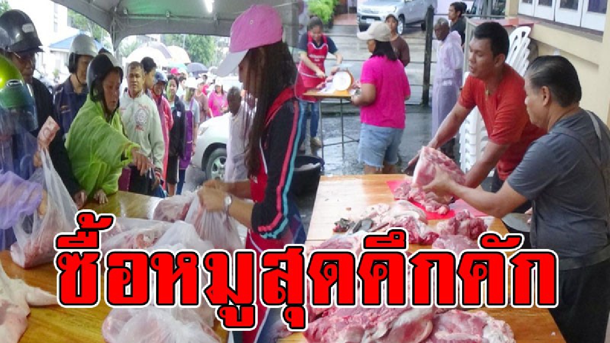 จับจ่ายอย่างคึกคัก..!! ประชาชนฝ่าสายฝนมายืนเข้าแถวรอซื้อหมู 2 กิโล 100บาท คึกคัก