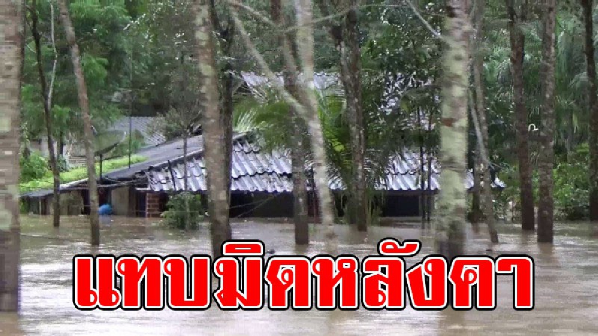 น้ำท่วมบางพื้นที่เกือบมิดหลังคาบ้าน ระดับน้ำยังเพิ่มสูงขึ้นอย่างต่อเนื่อง ประกาศเขตภัยพิบัติน้ำท่วมเป็น 8 อำเภอ มีผู้เสียชีวิตแล้ว 2 คน
