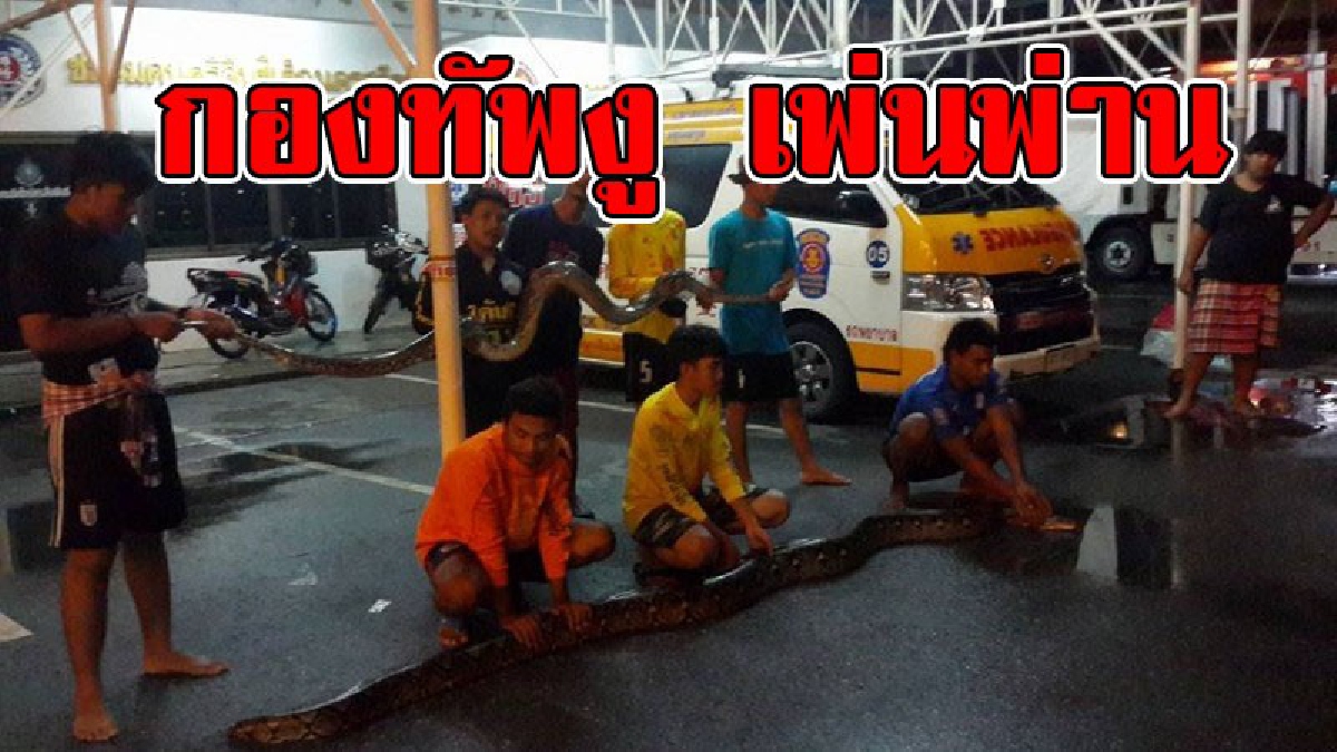 ช็อกสุดขีด !!วิกฤตน้ำท่วม เดือดร้อนกันถ้วนหน้า ทั้งคนทั้งงู กู้ภัยเตือนระวัง อสรพิษหนีน้ำเพ่นพ่าน จับนับสิบตัว..!?