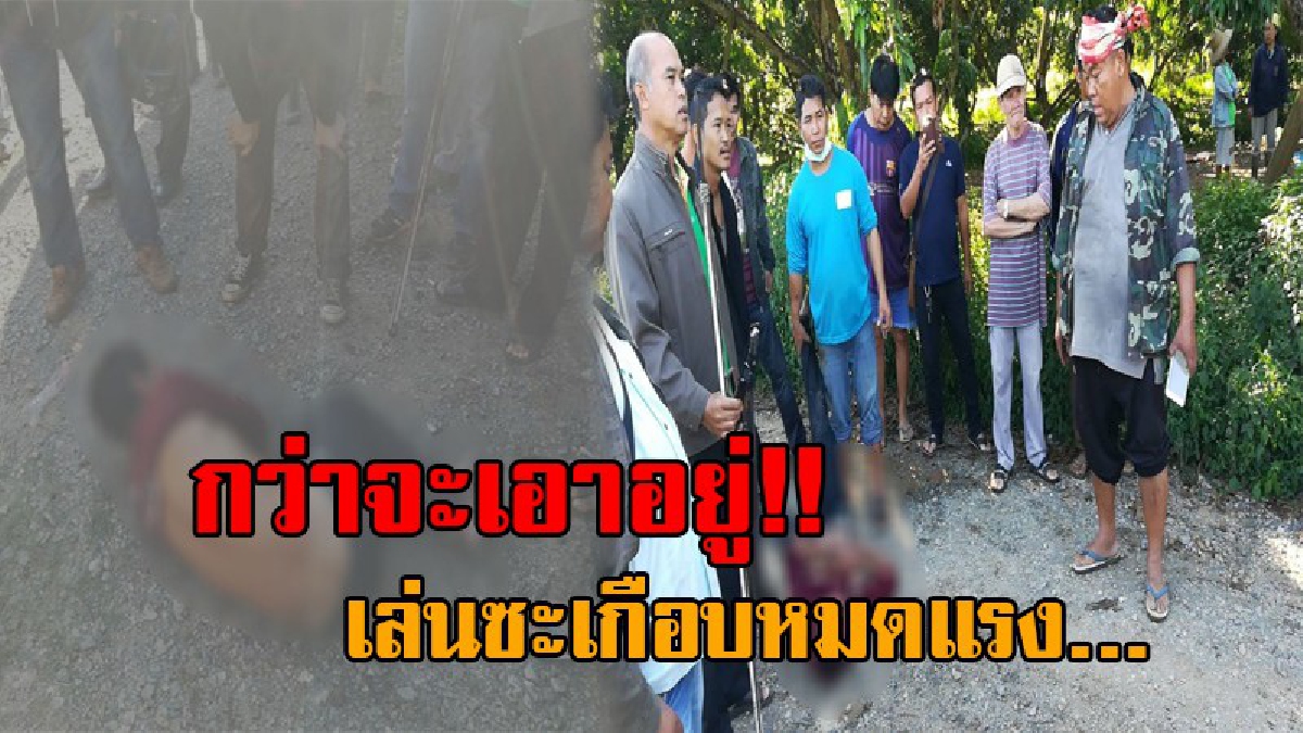โคตรบ้าระห่ำ..! หนุ่มไทใหญ่ คลั่งจัด ใช้มีดแทงเมียสาหัส ก่อนจุดไฟเผาบ้านเช่า ตร.-กู้ภัย เข้าระงับเหตุ ถูกยิงสวนด้วยหนังสะติ๊ก ทำตาหวิดบอด!?