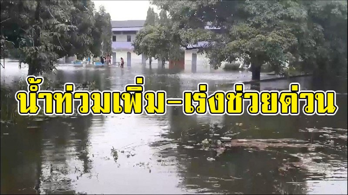 ยังคงต้องการความช่วยเหลือ..!! น้ำท่วม 7อำเภอริมทะเลสาบ สงขลายังวิกฤต เร่งช่วยเหลืออย่างด่วน ล่าสุดตายเพิ่มเป็น 4 ศพแล้ว