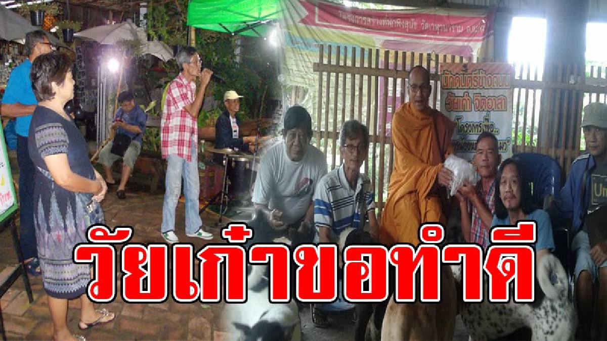 ทำดีไม่ต้องอายใคร..!? กลุ่มจิ๊กโก๋ วัยหลังเกษียณรวมตัว ร่วมร้องเพลง หารายได้สมทบทุนซื้ออาหารเลี้ยงสุนัขจรจัด กว่า 500 ตัว (ชมคลิป)