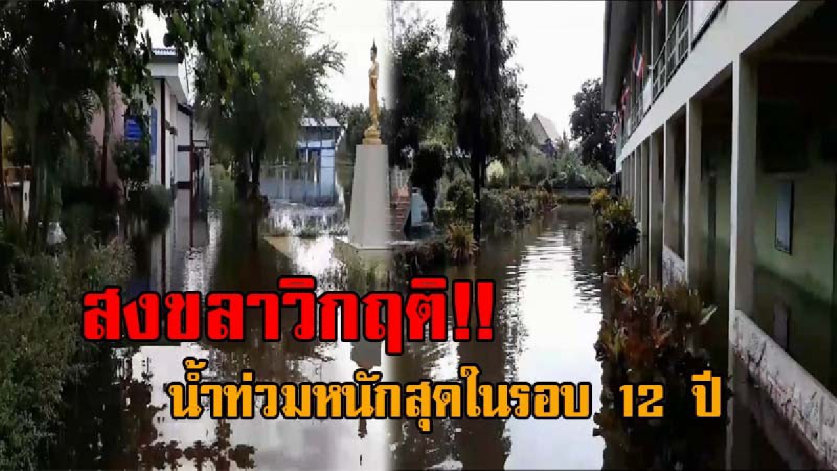 7 อำเภอ ริมทะเลสาบสงขลายังหนัก..!! น้ำท่วมวิกฤต โรงเรียนปิดแล้ว 62 แห่ง เผยหนักสุดในรอบ 12 ปี นับตั้งแต่เมื่อปี 48 (ชมคลิป)