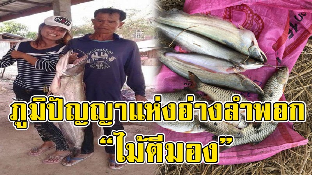 โคตรทึ่ง!! ภูมิปัญญาแห่งอ่างลำพอก “ไม้ตีมอง” แค่ตีลงน้ำ ปลาแตกตื่นทั้งบาง วิ่งเข้ามองอย่างง่ายดาย จับกิน จับขาย สร้างรายได้