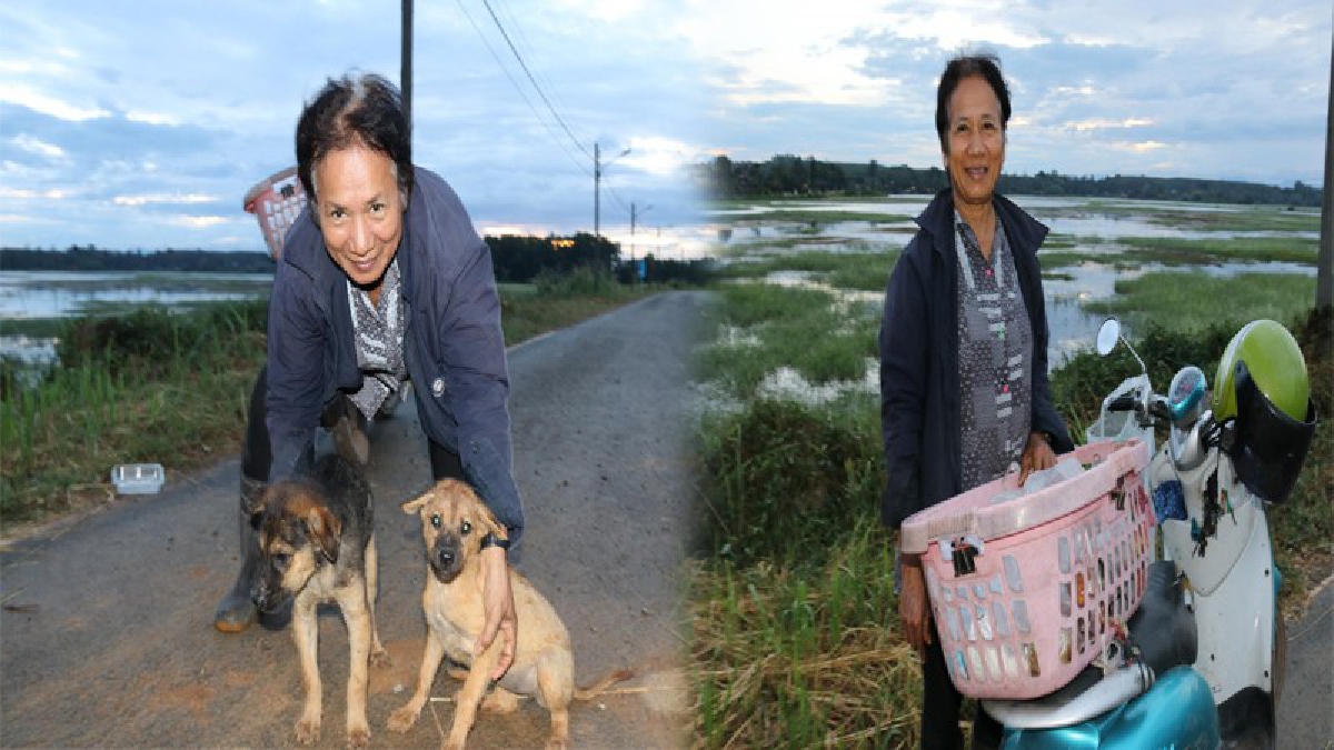 กราบหัวใจครูวัยเกษียณ ตระเวนเลี้ยงอาหารสุนัขจรจัดทั่วเมืองตราด  เปิดใจถึงเหตุผลสุดซึ้ง..ทำโซเชียลน้ำตาซึม   (มีคลิป)