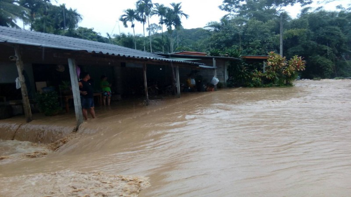 เตรียมรับมือ !! ฝนตกต่อเนื่องติดต่อกันหลายวันในเขตอำเภอไชยา คาด..มวลน้ำลงจากเขาคืนนี้ (มีคลิป)