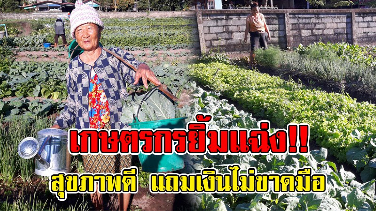 สุขภาพดีกันทั่วหน้า !! หลังทำเกษตรอินทรีย์ปลูกพืชผักแบบผสมผสาน เก็บกินเก็บขายทุกวัน มีรายได้ไม่ขาดมือ
