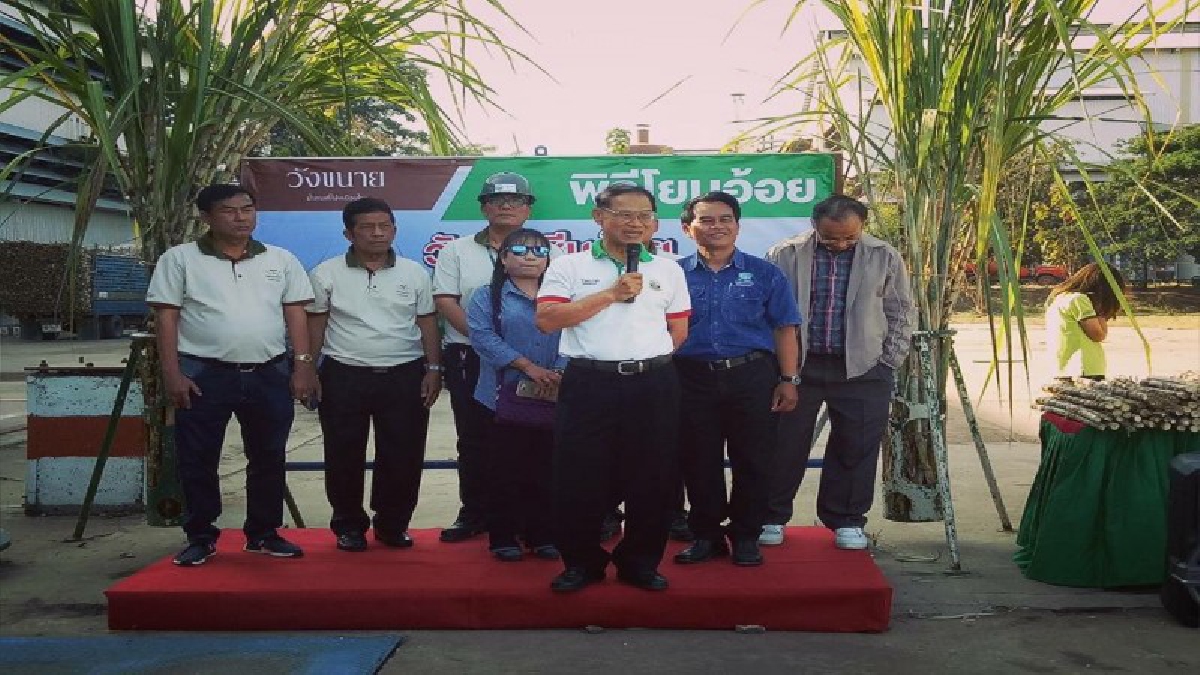 เอาฤกษ์เอาชัย!!โรงงานน้ำตาลวังขนาย จัดกิจกรรมโยนอ้อยและเปิดหีบประจำปี 2560/2561