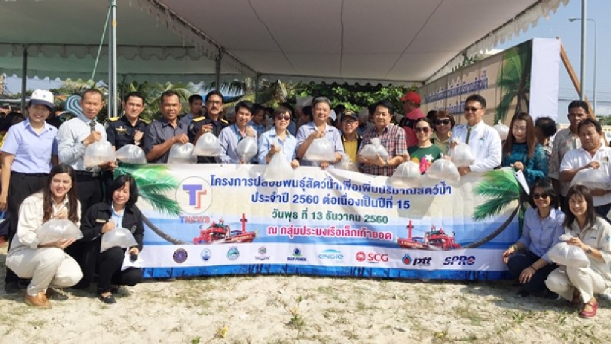 โรงไฟฟ้าบีแอลซีพี ร่วมทุกภาคส่วน จัดกิจกรรมปล่อยพันธ์สัตว์น้ำ ลงทะเล กว่าแปดแสนตัว เพื่อเพิ่มทรัพยากรทางทะเลและชายฝั่งในพื้นที่ ปีละ 8 ครั้ง