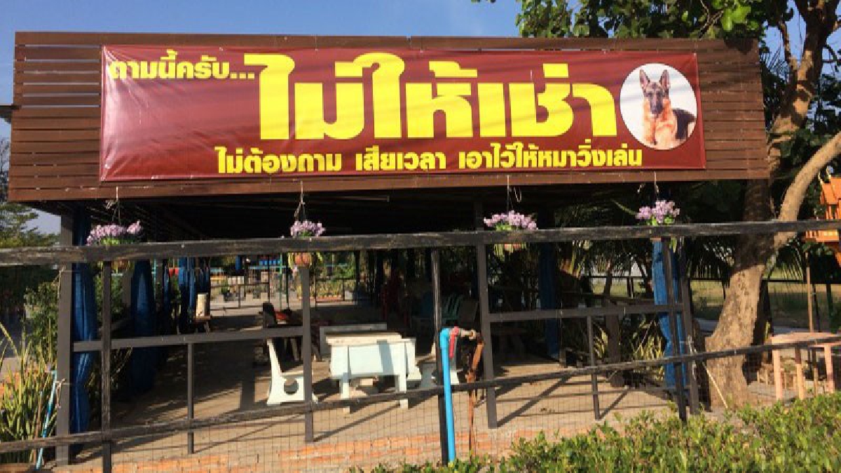 ชัดเจนนะ !! อลังการ...วิมานน้องหมา ขึ้นป้ายเบ้อเร่อ "ไม่ให้เช่า ไม่ต้องถามให้เสียเวลา เอาไว้ให้หมาวิ่งเล่น" (มีคลิป)