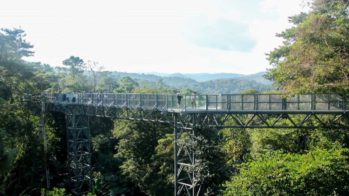 หนาวนี้ห้ามพลาด !! สัมผัสธรรมชาติ บนสะพานลอยฟ้า Canopy Walkway ยาวที่สุดในไทย ภายในสวนพฤกษศาสตร์สมเด็จพระนางเจ้าสิริกิติ์ อ.แม่ริม เชียงใหม่