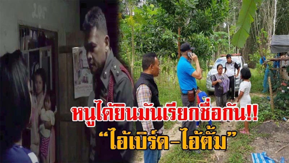 รู้ตัวแล้ว..งานนี้ไม่รอด ! ตร.เร่งหาตัว “ไอ้เบิร์ด-ไอ้ตั้ม” 2โจ๋หื่นกาม หลังพังบ้านบุกจี้อุ้มหนูน้อย ป.3 หวังรุมโทรม แต่หนีรอดหวุดหวิด!?