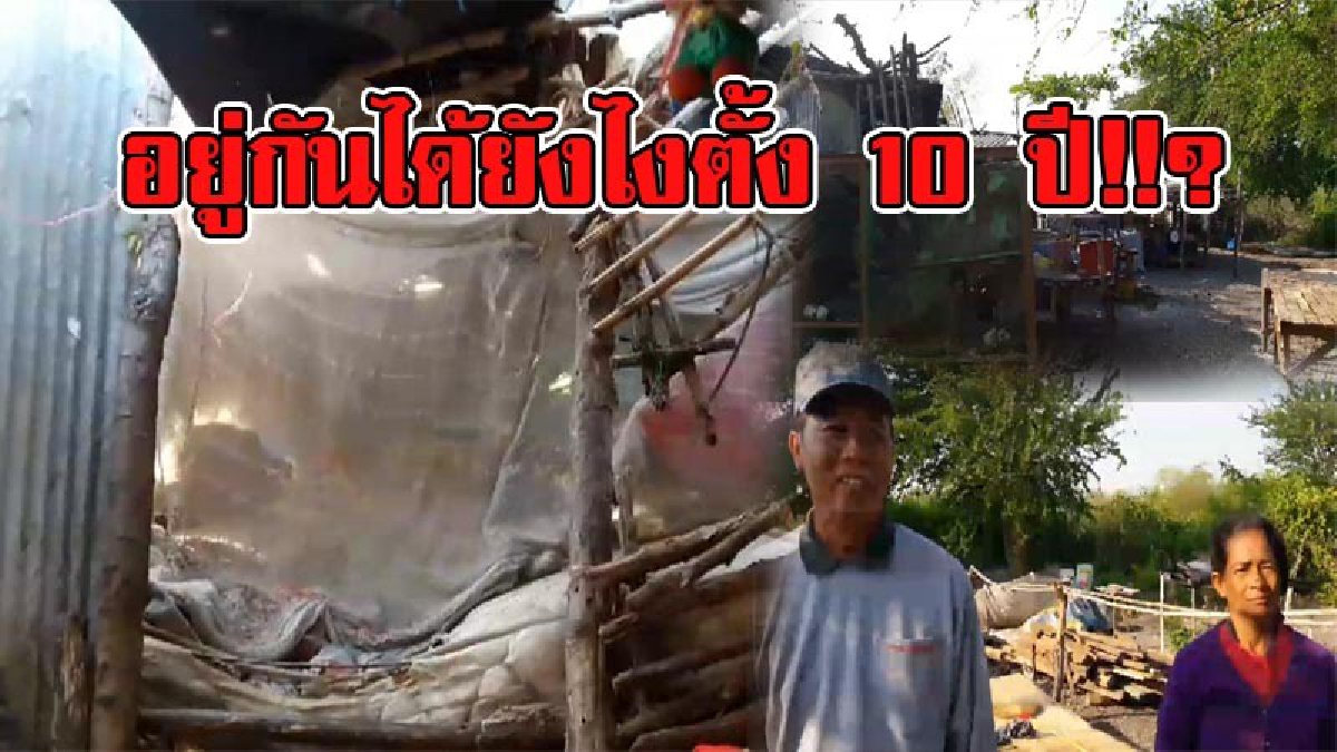 เหลือเชื่อ !! 6 ชีวิตสุดอาภัพอาศัยอยู่กลางป่า ไร้น้ำ-ไฟนานกว่า 10 ปี