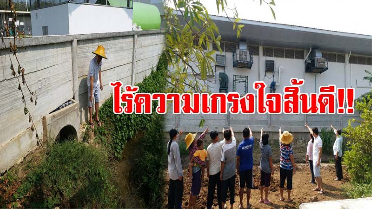 ไม่ได้หลับได้นอน..!! ชาวบ้านสุดทน รง.ทำขนมส่งร้านสะดวกซื้อชื่อดัง ส่งเสียงสร้างความรำคาญทั้งวันทั้งคืน&nbsp;แถมมักง่ายปล่อยน้ำเสียลงคลองชลประทาน?