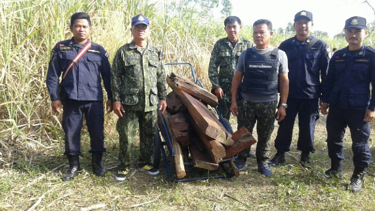 สันดานชั่วไม่เลิก..!! ทหาร-ตำรวจ-ปกครอง สนธิกำลัง รวบ 2 ผู้ต้องหา พร้อมไม้พะยูงขณะกำลังแปรรูป เตรียมส่งออกชายแดนไทย-กัมพูชา