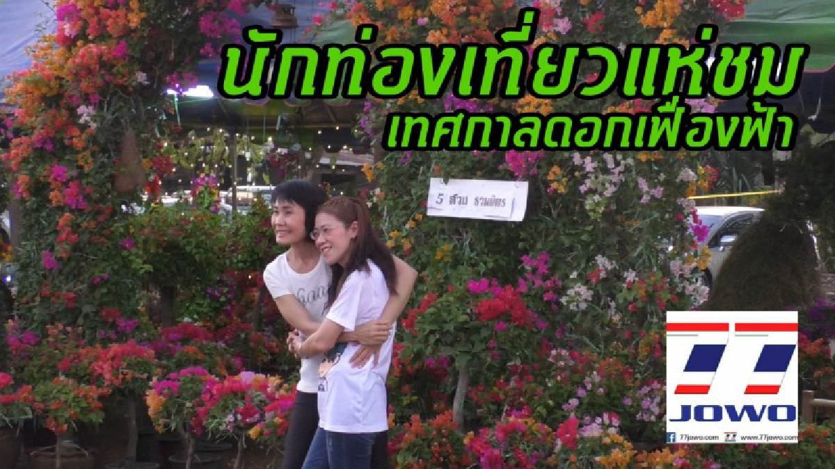 นักท่องเที่ยวแห่ชมเทศกาลเฟื่องฟ้าอำเภอหนองบุญมาก ชมสวนแปลงเฟื่องฟ้า กินข้าวแลง!