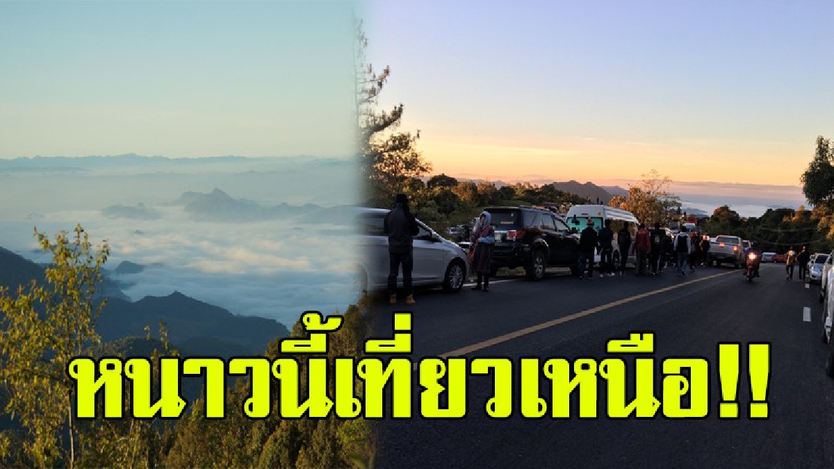 หนาวนี้เที่ยวเหนือ!? นักท่องเที่ยวร่วมหมื่น แห่ชมแม่คะนิ้งดอยอินทนนท์ บอกเลยคนชอบเที่ยวห้ามพลาด!!