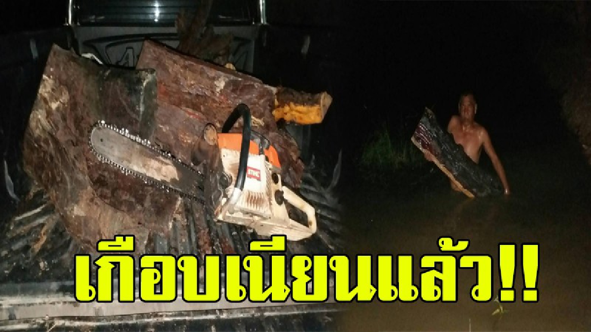 แค่นี้ตบตาไม่ได้หรอก!?? แก๊งมอดไม้แปรรูปไม้พะยูง แอบซุกซ่อนไม้พะยูงไว้ในสระน้ำ เตรียมส่ง โชคดีเจ้าหน้าที่พบก่อน..!!