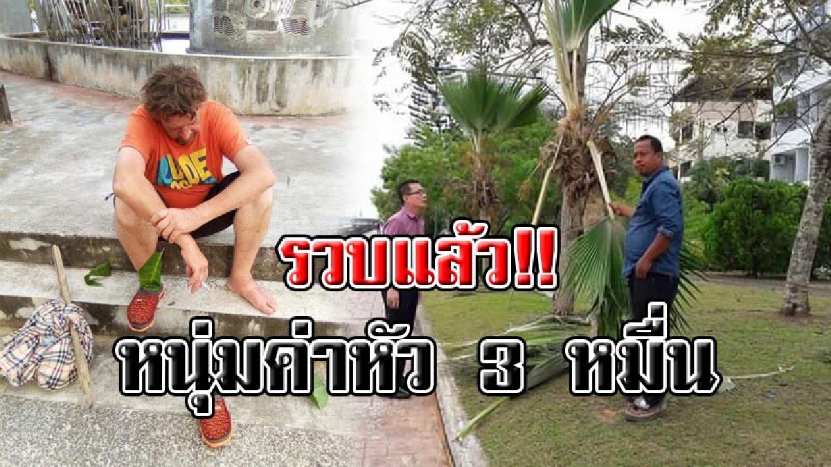 ตามล่าอยู่นาน !! รวบแล้ว ต่างชาติมือบอน ทำลายต้นไม้สวนสาธารณะ ฟังเหตุผลแทบน้ำตาไหล! ชีวิตโคตรดราม่า..