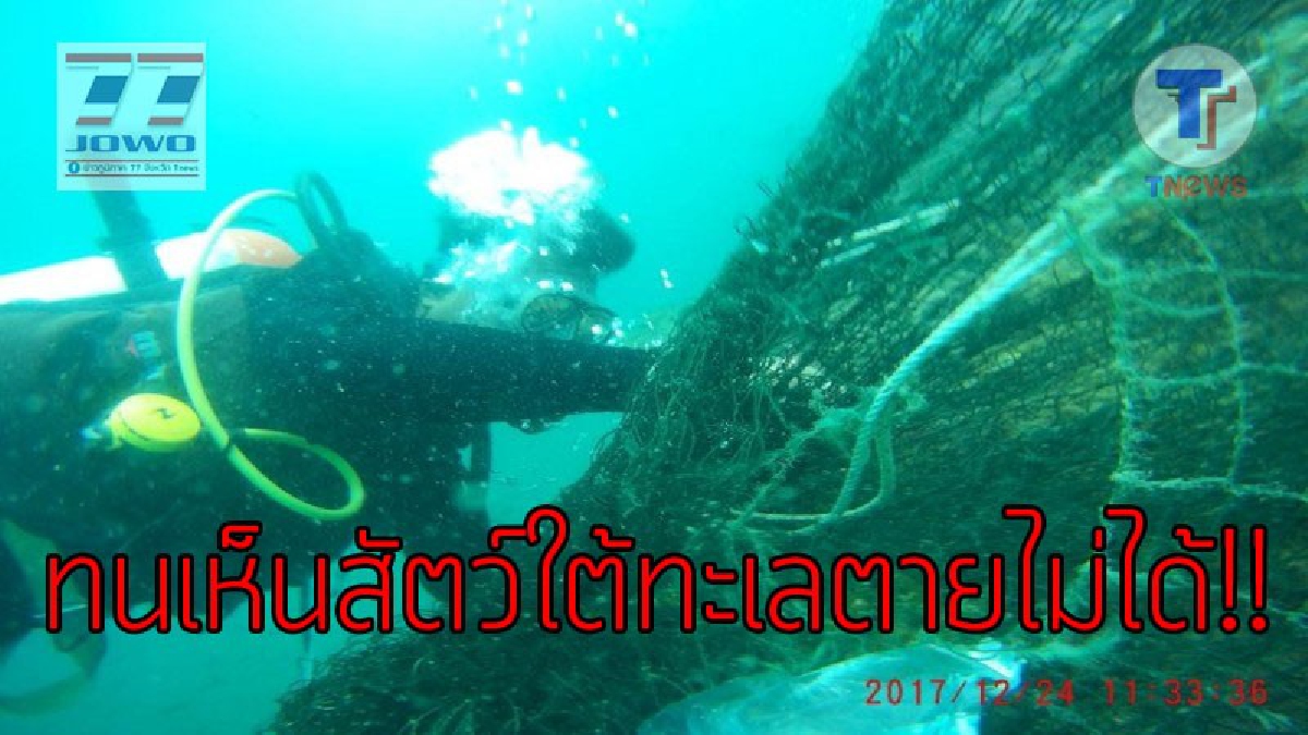 ช่วยกันดูแลธรรมชาติ..!?? สุดชื่นชม นักดำน้ำเอกชน เข้าช่วยปลาติดอวนแนวปลาปะการัง