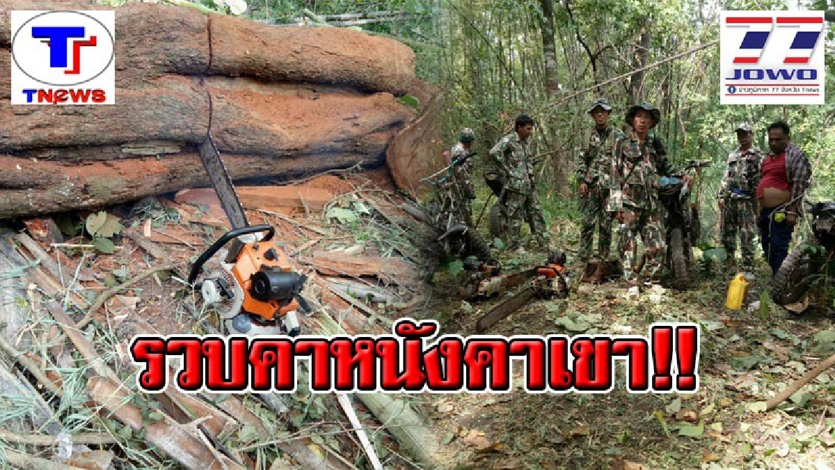 ฉวยโอกาสช่วงก่อนปีใหม่ !! จนท.อุทยานฯ คุมเข้มลาดตระเวนเจอแก๊งมอดไม้คาหนังคาเขา บุกรวบทันควัน 1 ราย อ้างหาเงินฉลองปีใหม่!