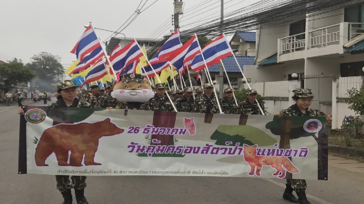 หยุดกิน หยุดล่า ไม่ค้าสัตว์ป่า..!! สบอ.16 แม่สะเรียง จัดกิจกรรมวันคุ้มครองสัตว์ป่า รณรงค์ประชาสัมพันธ์ กระตุ้นสร้างจิตสำนึก (ชมคลิป)