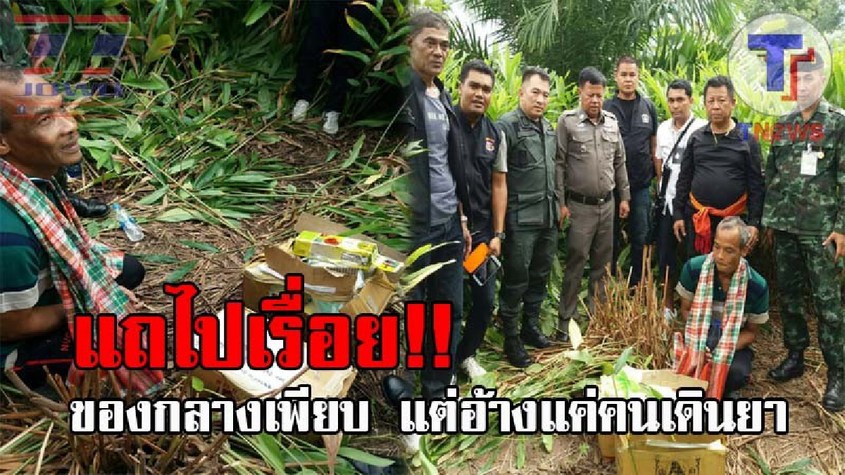 งงเป็นไก่ตาแตก..!! วัยรุ่นวิ่งเข้าสวนข่า “พงศ์ ทอนหงส์” ทั้งวันคืน สุดท้ายบุกรวบจนราบ เจอ 1.7 แสนเม็ด ไอซ์ 6 กก. เผยตนแค่คนเดินยา!?