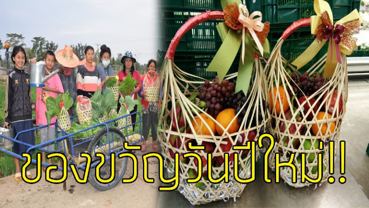 นี่สิ..กระเช้าปีใหม่ของจริง!?? ไอเดียร์สุดบรรเจิด บอกเลยว่าถูกใจใช่เลย เป็นกระเช้า พืชผัก ผลไม้ รับรองมอบให้ใครก็มีแต่รอยยิ้ม..!!