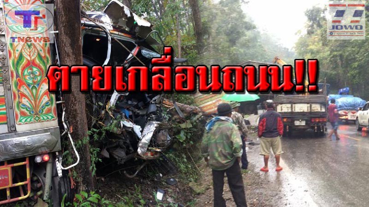 สุดสลด!!! ฝนตกถนนลื่น ทำรถบรรทุกวัวเสียหลัก พุ่งชนต้นไม้ข้างทาง ก่อนพลิกคว่ำเทกระจาด วัวตายเกลื่อนกว่า 10 ตัว (มีคลิป)
