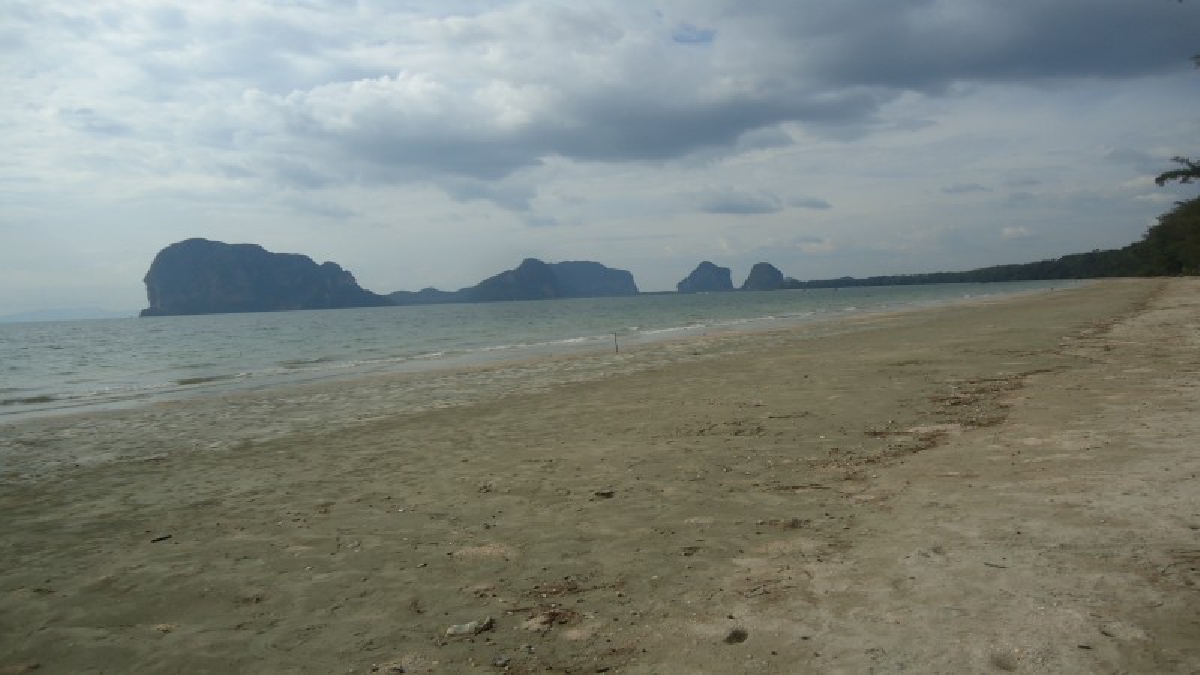 ชมรมท่องเที่ยวและโรงแรมตรัง จัดกิจกรรม ดูดาว เคาท์ดาวน์ @ หาดปากเมง กระตุ้นการท่องเที่ยวทะเลตรัง ช่วงเทศกาลปีใหม่