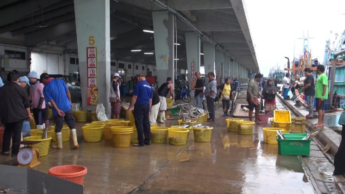 กลับก่อน!! เรือประมงทยอยกลับเข้าฝั่งหลังคลื่นสงบเพื่อหยุดปีใหม่