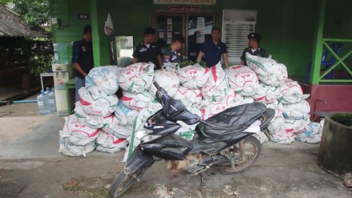 ตชด. 437 รวบพืชกระท่อมเกือบหนึ่งตันทะลักพื้นที่ชายแดนช่วงปีใหม่ซุกขนำริมชายแดนไทย – มาเลเซีย มูลค่าเกินครึ่งล้าน ผู้ต้องหาเผ่นหนี (ชมคลิป)