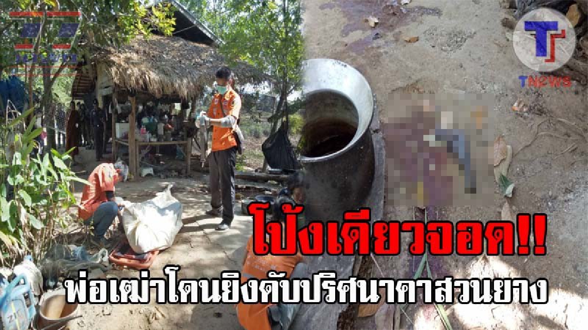 ตายเองหรือโดนฆ่า..!! พ่อเฒ่าเมืองช้างวัย71 นอนเป็นศพโดนยิงปริศนาคาสวนยาง ทิ้งไว้เพียงปืนลูกซองสั้นไทยประดิษฐ์ทูตมรณะ!? (ชมคลิป)