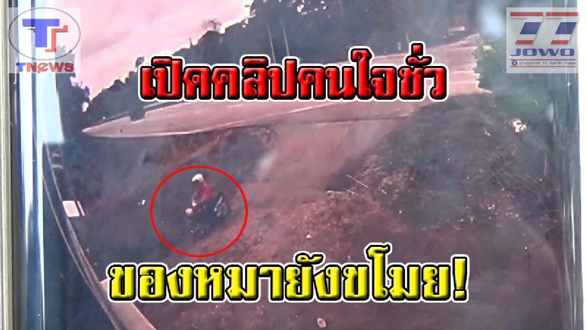 ดูกันชัดๆ โฉมหน้าคนใจชั่ว !! ลักอาหารหมาจรจัด ก่อเหตุเป็นครั้งที่ 3 แถมยังทุบทำลายถ้วยใส่น้ำอีก ทนายชี้มีโทษหนัก (ชมคลิป)