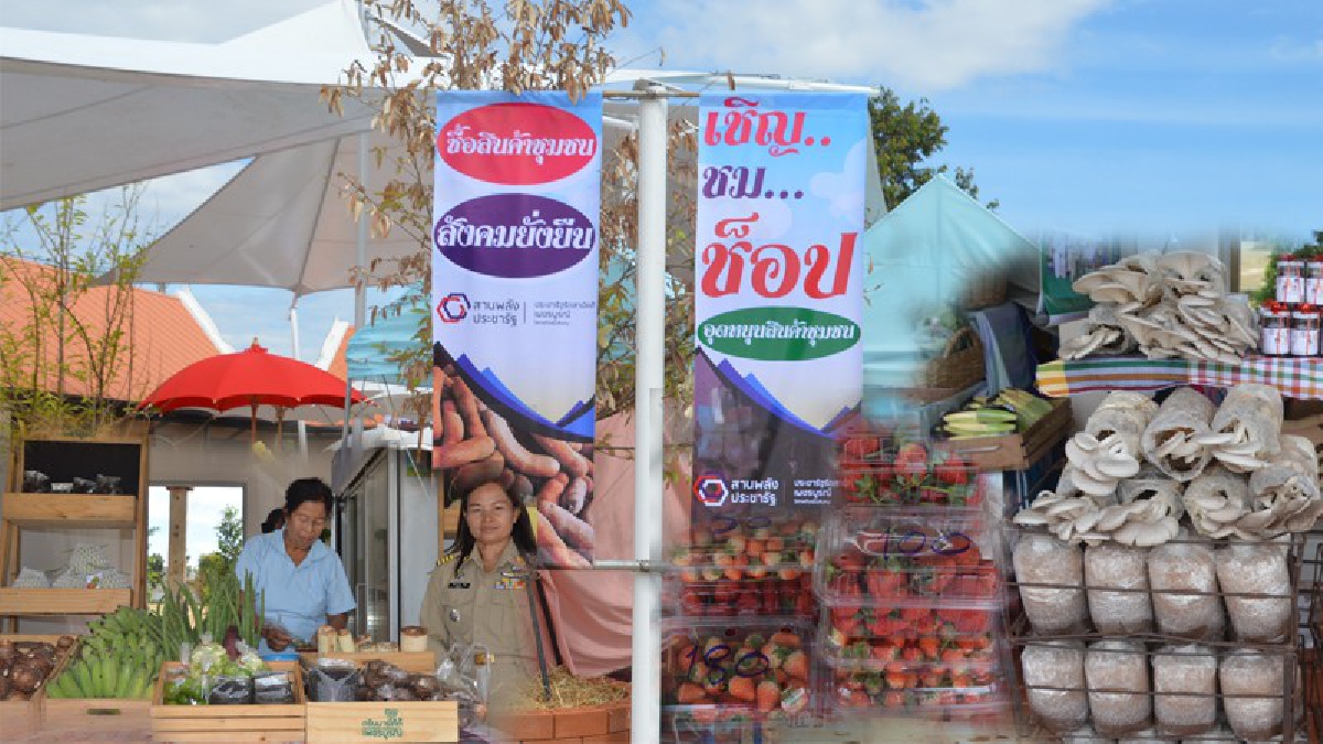เพชรบูรณ์ !! จัดตลาดอาหาร สินค้าพืชผักปลอดภัย สินค้าเกษตรอินทรีย์ รองรับนักท่องเที่ยว