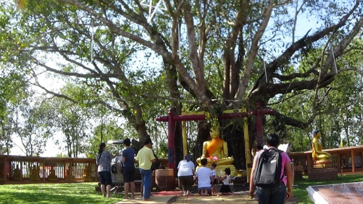 พุทธศาสนิกชนนับหมื่น หลั่งไหลนมัสการต้นพระศรีมหาโพธิ์-รอยพระพุทธบาทคู่ใหญ่และเก่าแก่ที่สุดในประเทศไทย ต่างเฝ้ารอสวดมนต์ข้ามปี (คลิป)