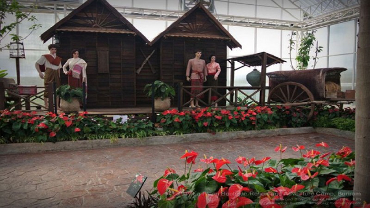 สวยงามสุดๆ..!?? นักท่องเที่ยวแห่ไป "ฮอลแลนด์อีสาน" กันอย่างคึกคัก ชมทิวลิปสายพันธุ์ใหม่ ครั้งแรกในเมืองไทย..!!