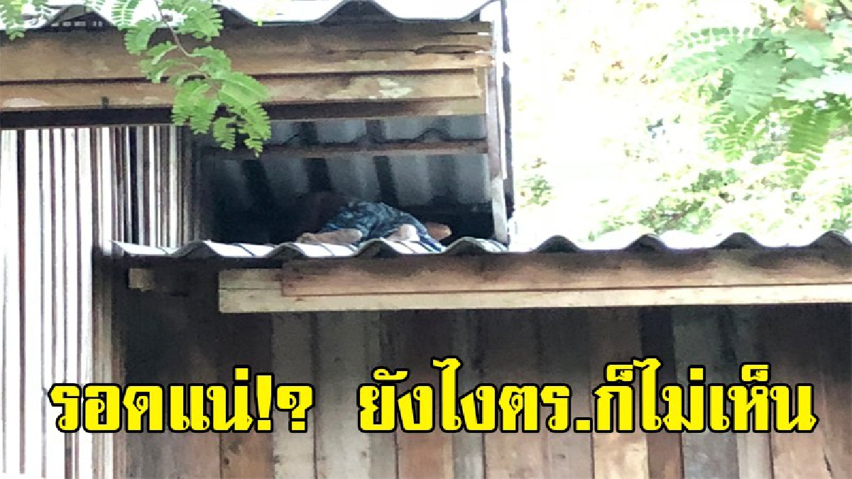 ซ่อนสุดเนียน !! หนุ่มใหญ่หนีหมายจับมาปีกว่า สุดท้ายเสียท่าเพราะปีใหม่