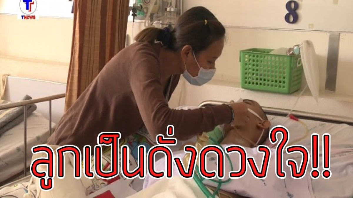 ทรมานหัวใจ..!?? หัวอกคนเป็นพ่อ-แม่ ทนดูลูกทุกข์ ไร้การตอบสนอง หลังสุนัขตัดหน้าจน "รถล้ม" ต้องผ่าตัดสมองและอาการแทรกซ้อนต่างๆ..!!