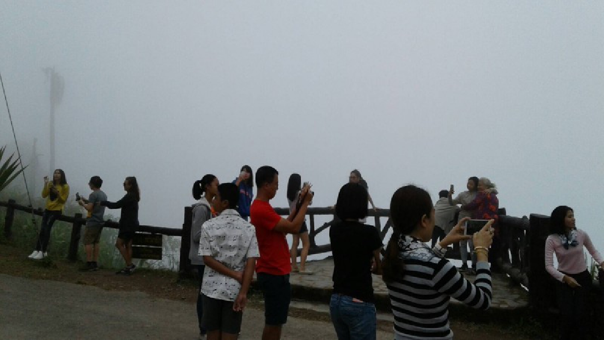 นักท่องเที่ยวแห่ขึ้นอุทยานแห่งชาติดอยภูคาชมและถ่ายรูปกับธรรมชาติและทะเลหมอกบนยอดดอย จุดสูงสุดที่มีให้สัมผัสตลอดทั้งวัน