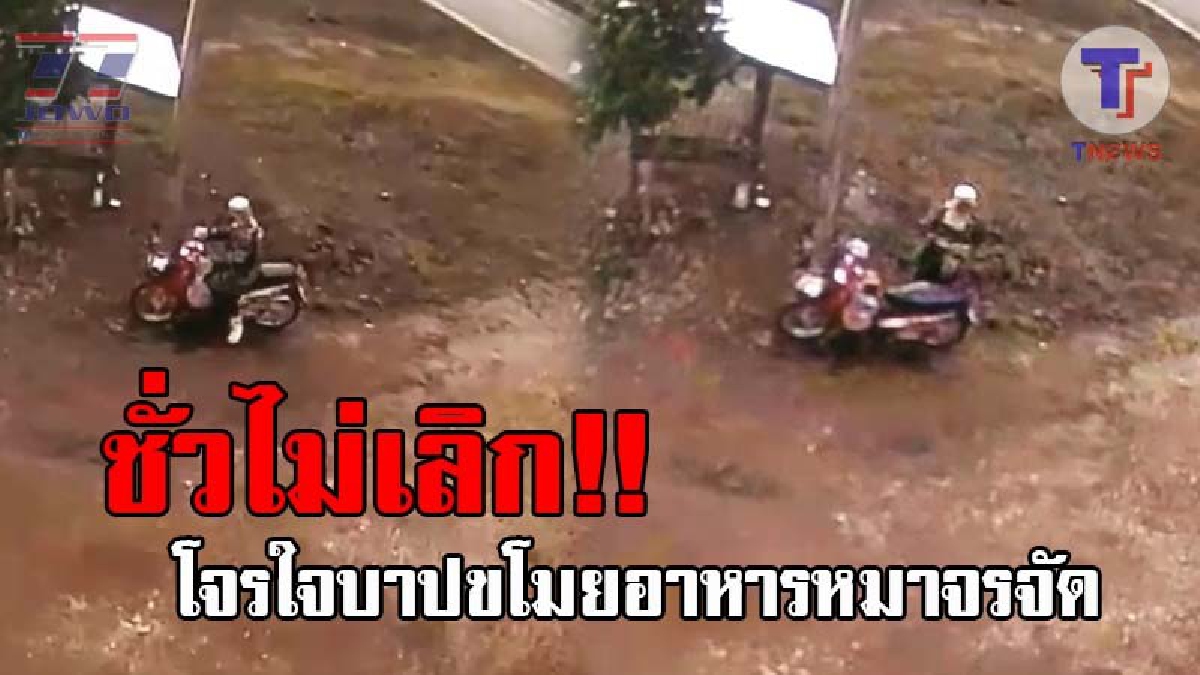 เกิดมาพึ่งเคยเห็น..!! เปิดคลิปคนใจชั่ว ลักอาหารหมาจรจัด ก่อเหตุซ้ำซากเป็นครั้งที่4 ด้านทนายชี้มีโทษหนัก จำคุกถึง 1-5 ปี (ชมคลิป)