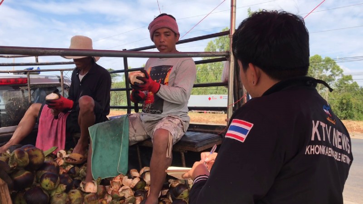 ลอนตาลนา เฉาะขายสดๆริมถนน ขายดีกำไรเท่าตัว สร้างรายได้มากถึงวันละ 800-1,000 บาท เน้นทานสะดวก ช่วงเทศกาลปีใหม่ขายตลอดทั้งวัน