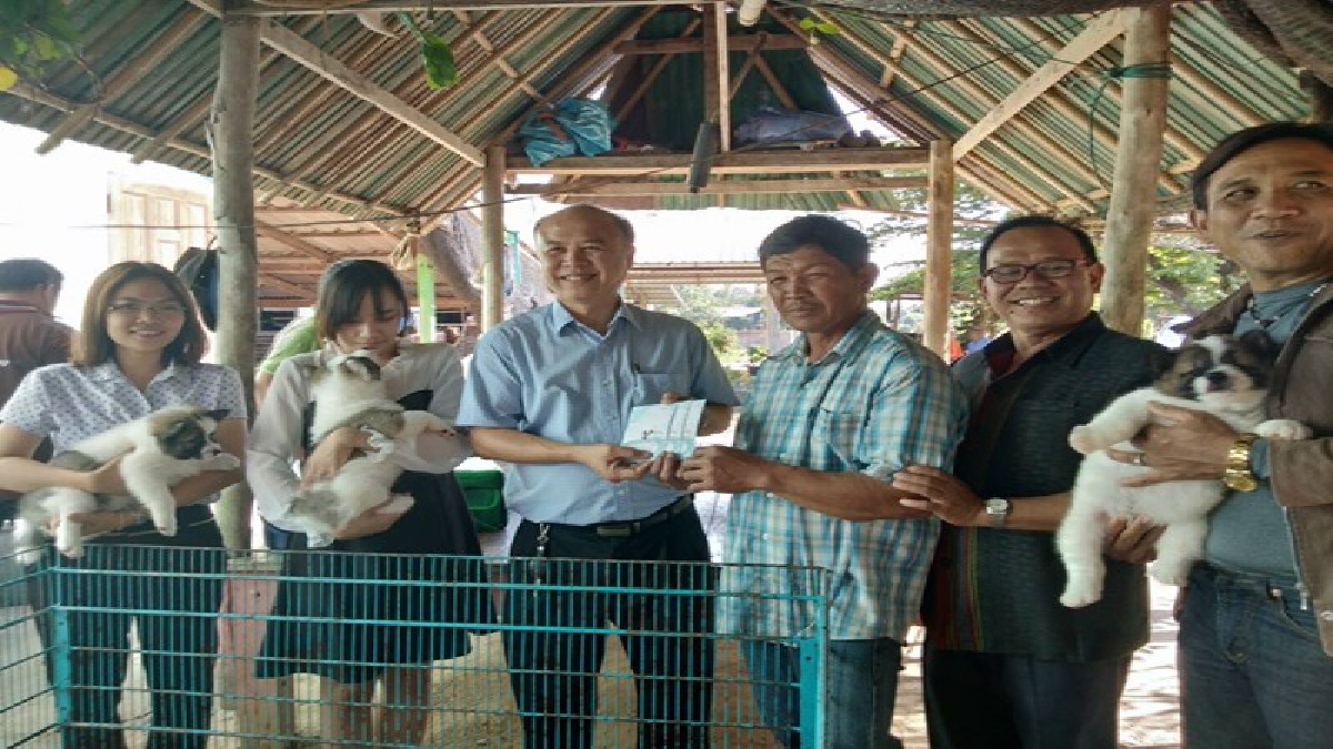 ปศุสัตว์ จ.พิษณุโลก ตรวจสุขภาพลูกสุนัขไทยพันธุ์บางแก้วเพศผู้ทั้ง 3 ตัว ที่นายกรัฐมนตรีซื้อ พร้อมกับทำการฉีดวัคซีน