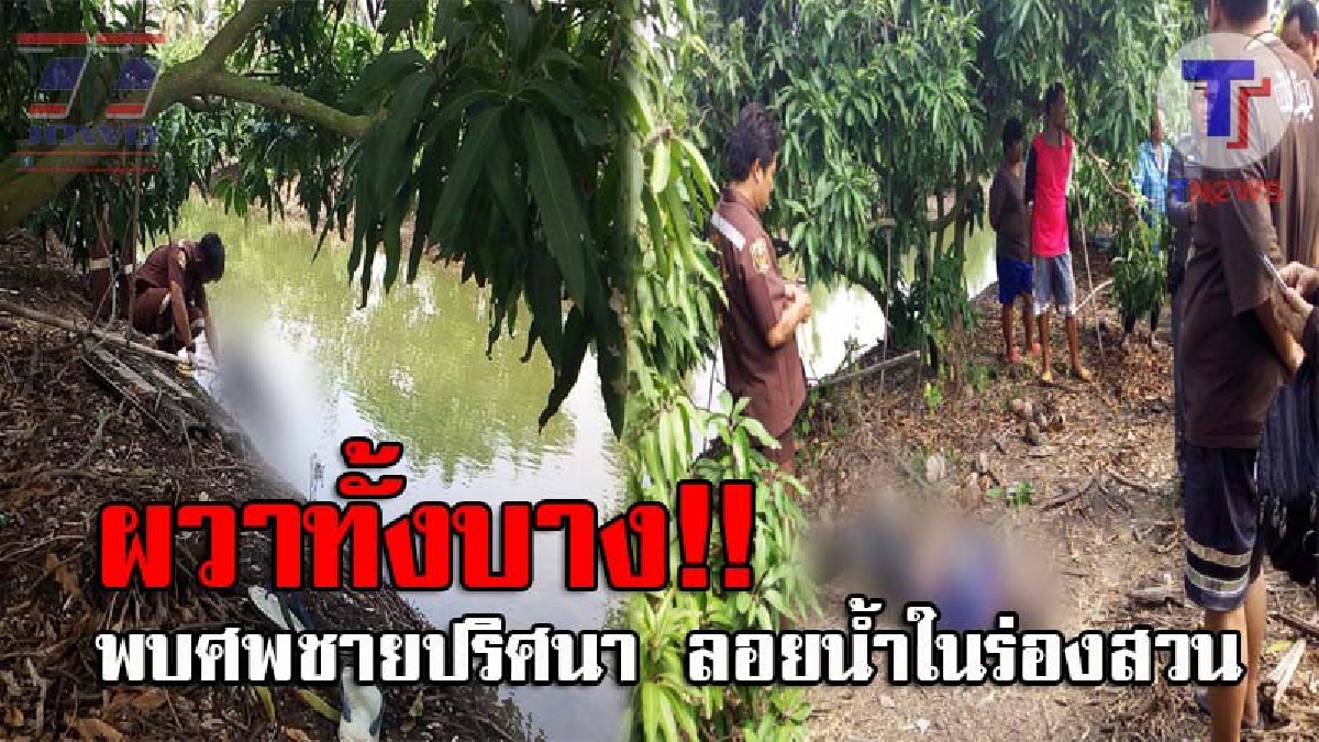 เขย่าขวัญทั้งสวน..!! หนุ่มใหญ่สุดช็อค ออกมาตัดแต่งกิ่งมะม่วง แต่ถึงกับต้องผงะ พบศพชายปริศนา ลอยน้ำอยู่ในร่องสวน โร่แจ้งจนท.ตรวจสอบ!?