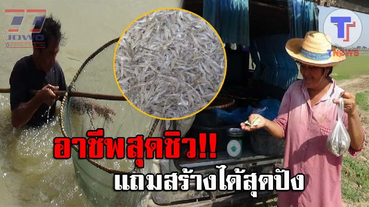 ขยันไม่อดตาย..!! สองสามีภรรยา ยึดอาชีพหากุ้ง-ปลา สร้างรายได้อย่างงามวันละ 700-800 บาท โดยใช้รถตู้ออกตระเวนหาแบบค่ำไหนนอนนั่น (ชมคลิป)