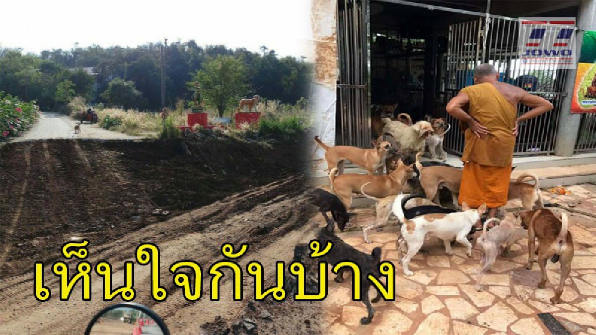 ไม่เห็นแก่พระ ก็เห็นแก่หมาบ้าง ! หน่วยงานตัดถนน..ขุดโดนท่อส่งน้ำขาด "พระ-ชาวบ้าน และหมา ไม่มีน้ำใช้"