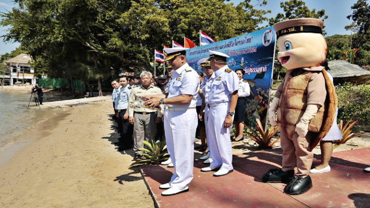 ทัพเรือภาคที่ 1 นำประชาชนปล่อยเต่าอนุรักษ์แนวปะการังในพระดำริพระองค์เจ้าสิริวัณณวรี (คลิป)